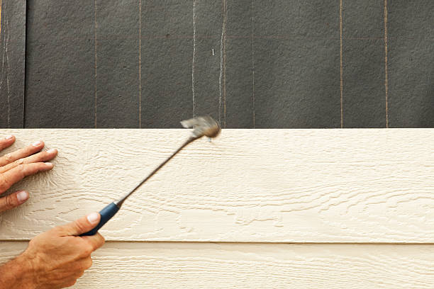 Professional Siding in Dexter, GA